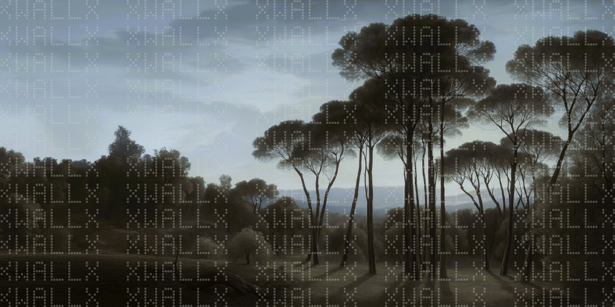 Dusky Forest Glade Wallpaper