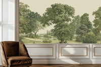 Vintage Green wallpaper for Living Room
