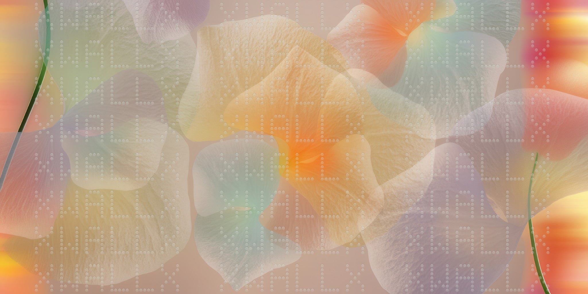 Translucent Petal Dream Wallpaper